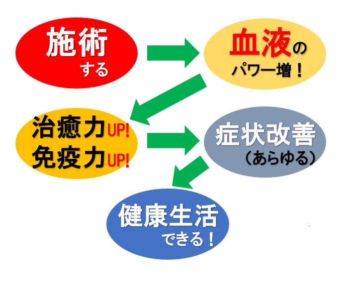 スクリーンショット 2024-12-24 134716.pn
