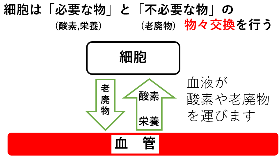 b3.PN
