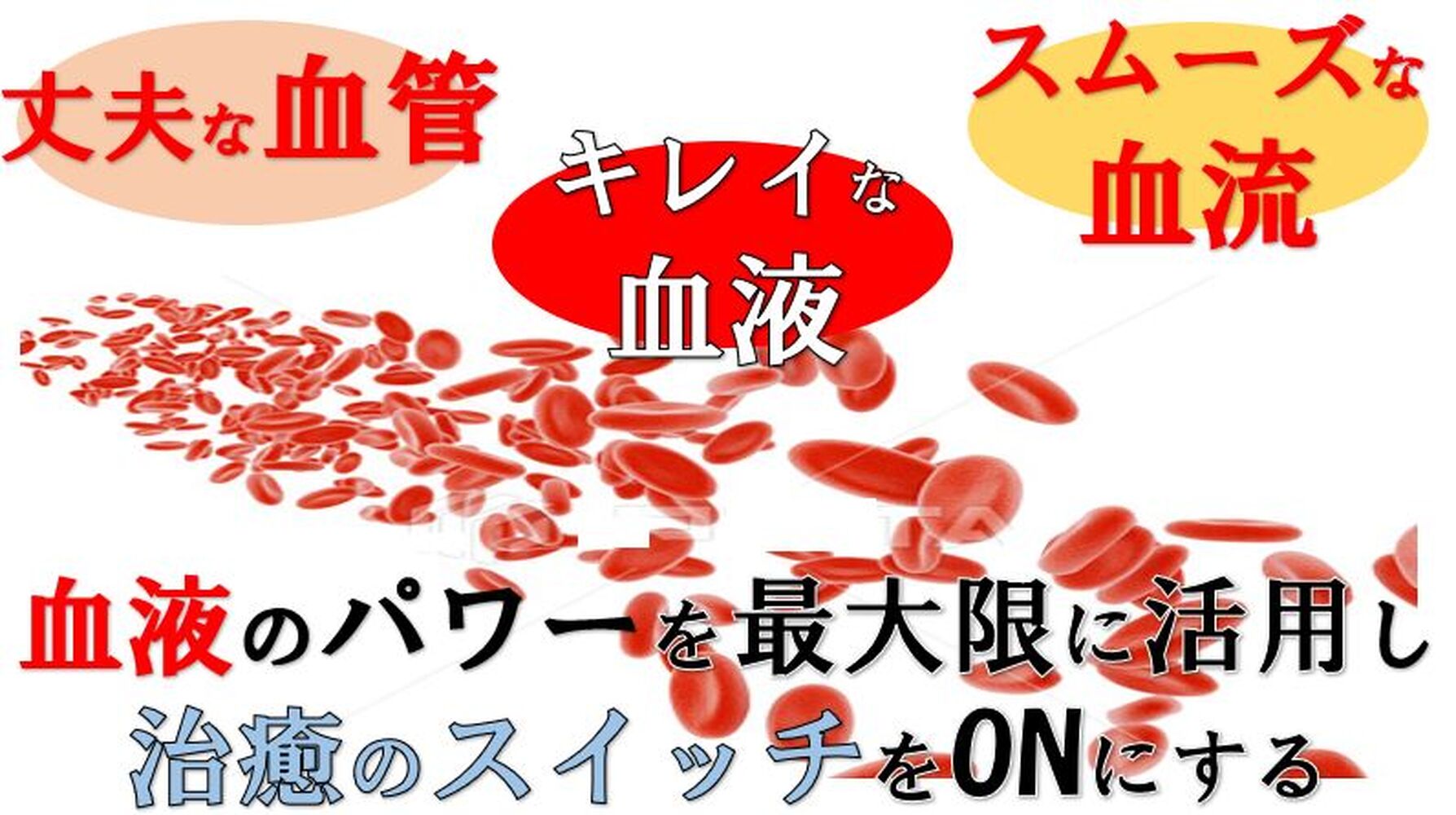画像14438