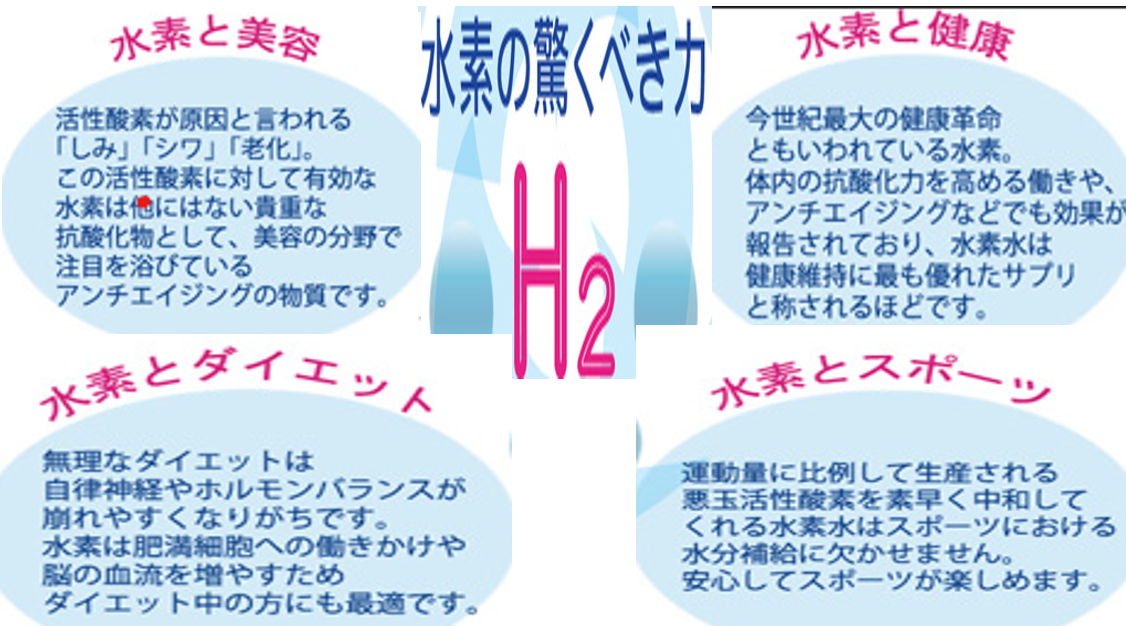 スクリーンショット 2024-12-14 134031